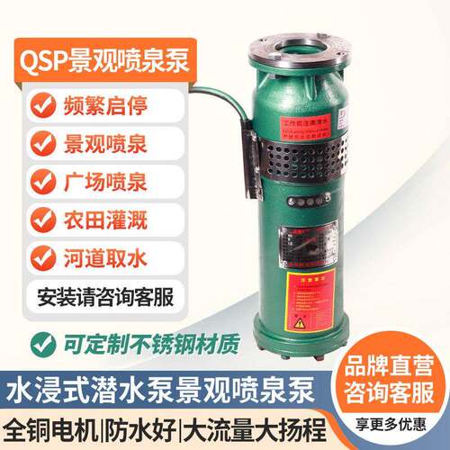 雨龙潜水泵 QSP浸水式音乐景观喷泉泵可多角度安装农田灌溉抽水泵