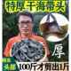 纯海带头干货特级厚新鲜干海带根福建宁德霞浦商用特厚非海带丝结