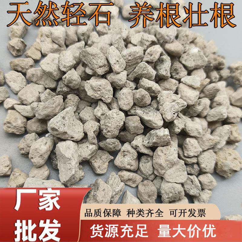 轻石造景钵底石园艺兰花多肉盆栽隔水底石水族微景观白色浮石颗粒