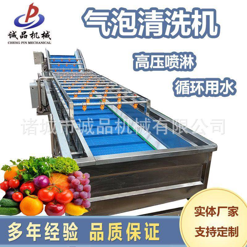 大型蒜米气泡清洗机零件包装袋清洗设备中药材海参清洗去泥流水线