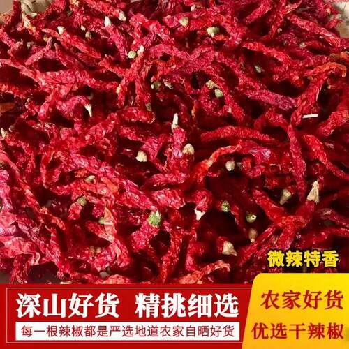 南干辣椒2荆025年新鲜二条江西红辣椒农家皱皮椒特香湖湖南贵