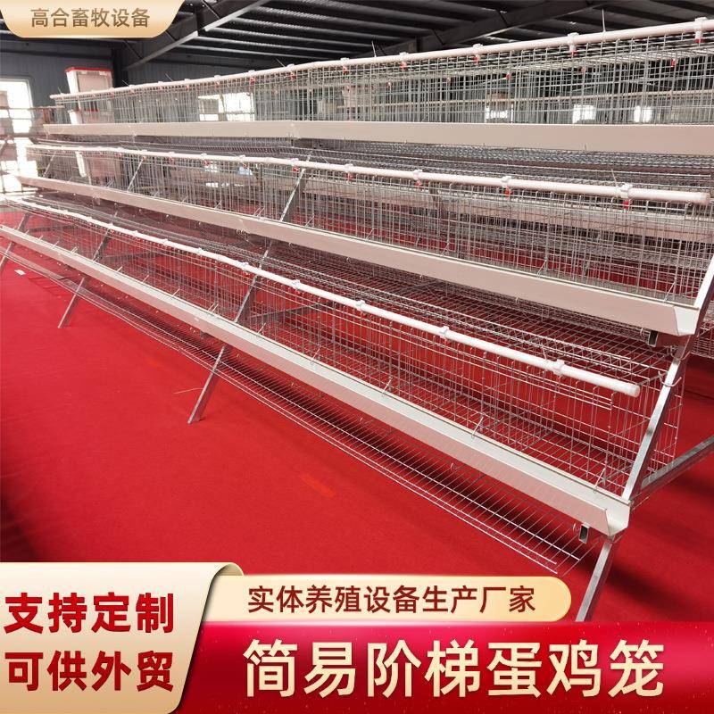 蛋鸡笼三层五门阶梯式蛋鸡笼白食槽养殖机械设备鸡舍镀锌蛋鸡笼子