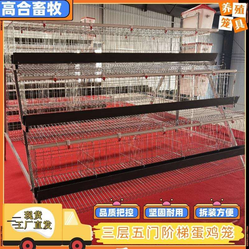 鸡舍三层四层阶梯蛋鸡笼养殖场多层立体养殖笼蛋鸡养殖鸡笼
