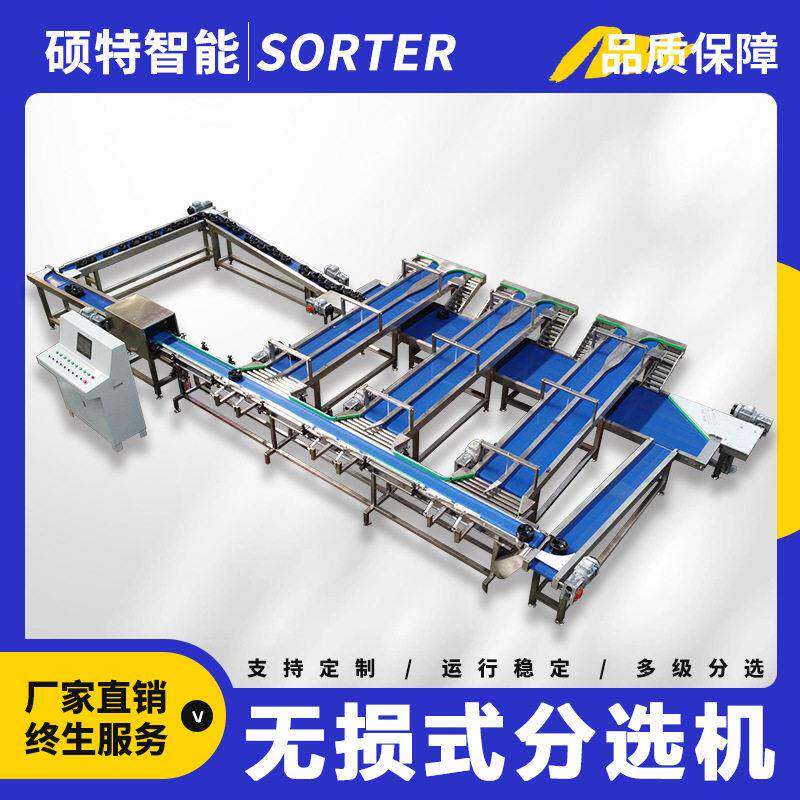桃子移动托盘称重水果分选机香梨无损伤智能选果机重量分拣