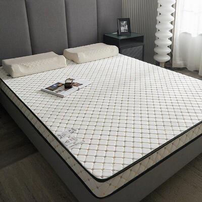 memory foam mattress Topper记忆棉海绵乳胶床垫榻榻米1.5m1.8米