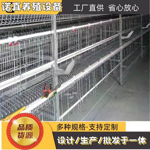 肉鸡框架笼层叠式养鸡设备加密加粗肉鸡养殖厂家自动清粪设备