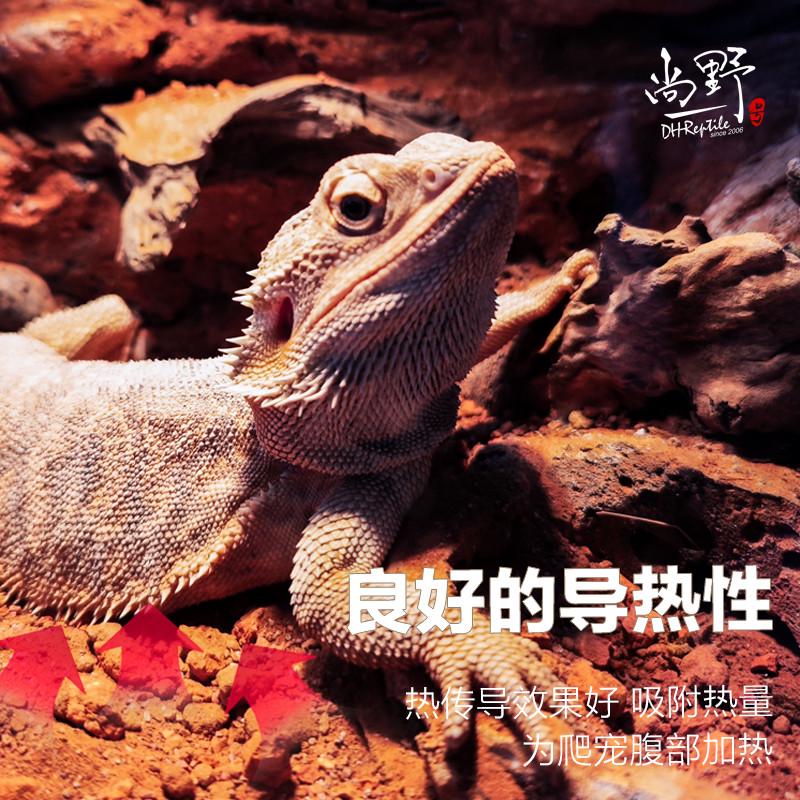 荒漠地表垫材爬宠沙鬃狮蜥蜥蜴瘤尾豹纹守宫陆龟沙漠造景黏土洞穴