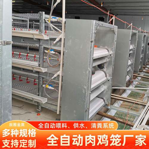 全自动养鸡设备三四层养殖场养鸡肉鸡笼冷镀锌肉鸡笼立式肉鸡笼