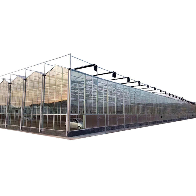连新型栋保温温室连温室骨架智能玻璃热镀锌大棚钢管洛纹栋大棚