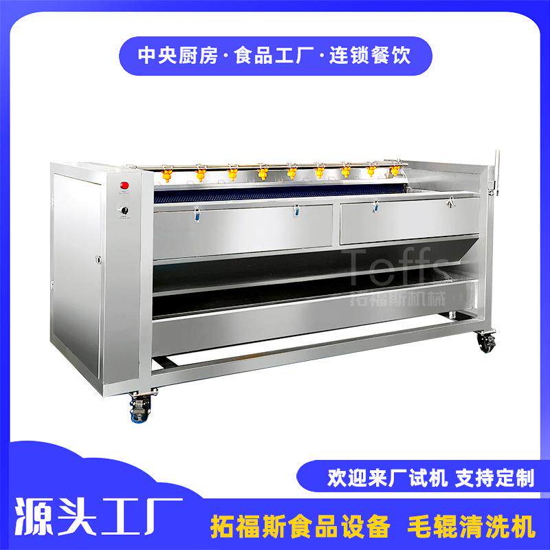 商用根茎类果蔬去皮去泥清洗机药材软毛硬毛刷毛辊清洗机器