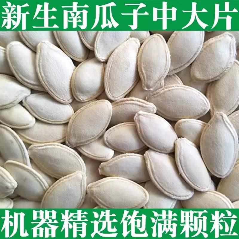 速发现货新货生南瓜子5斤装 2斤1斤 生熟可选 瓜子类坚果零食生南