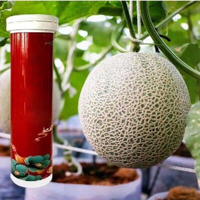 Slow-Release Fertilizer Tablets Universal All-Purpose