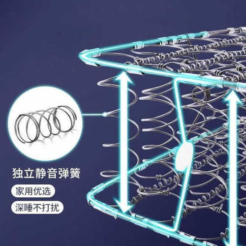 GxP儿童床垫软硬两用20cm厚1.8米1.5m家用双人经济型椰棕弹簧床垫