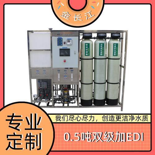 出口0.5吨双级加EDI加抛光设备 净水处理专业机器纯水超纯水机