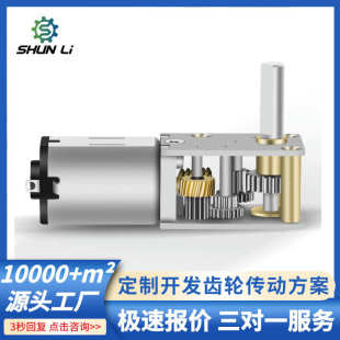 12v电子锁智能锁减速马 厂家直销N20微型涡轮蜗杆自锁减速电机6v