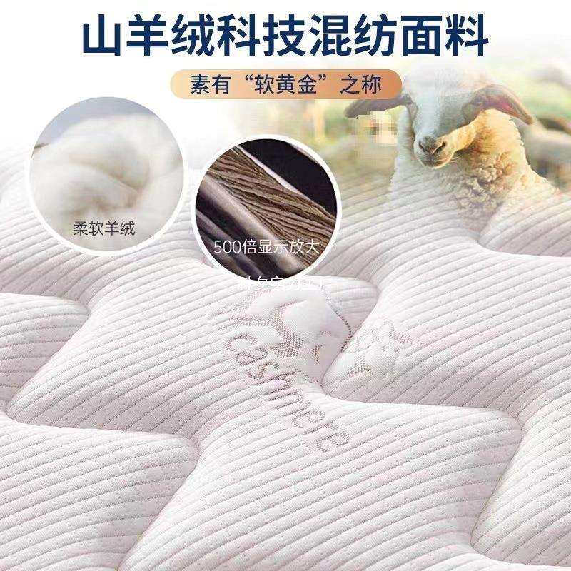 席梦思882床床垫软硬两用20胶cm经济家用乳海椰棕型马弹簧垫租房