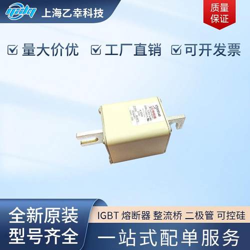 巴斯曼熔断器 170M5067 170M5068 170M5108 170M5109 170M5110