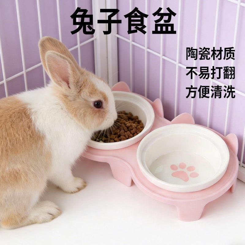 兔子食盆陶瓷双碗水碗高脚斜口侏儒粮碗防打翻专用宠物神器用品