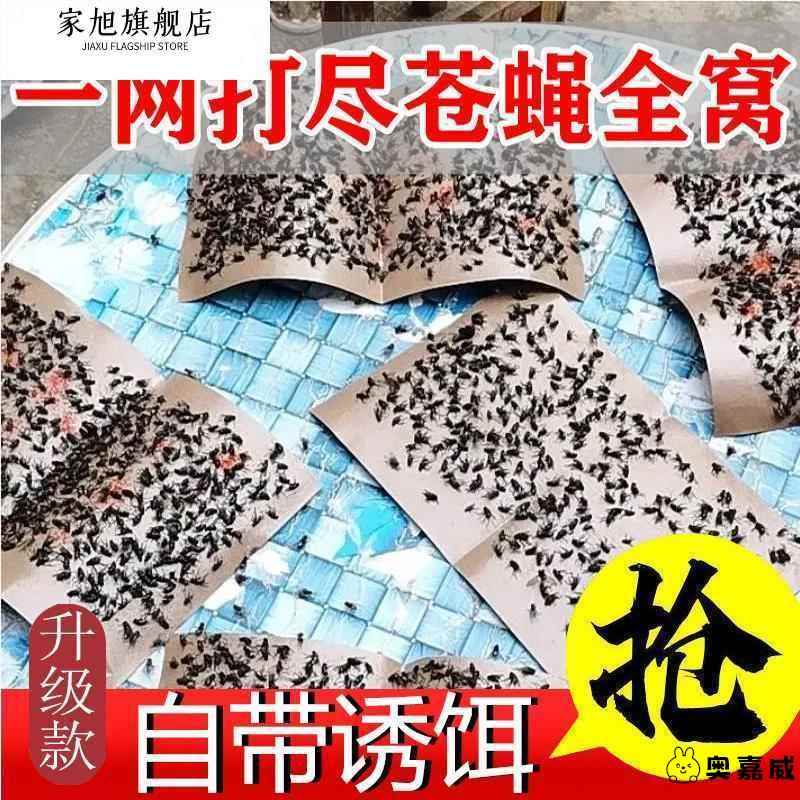 占仓蝉蝇纸粘苍绳纸吸蚊纸50张苍蝇贴粘蝇纸