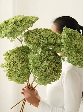 高级感绣球干花花束真花风干天然干枝装饰永生花客厅餐桌艺术插花