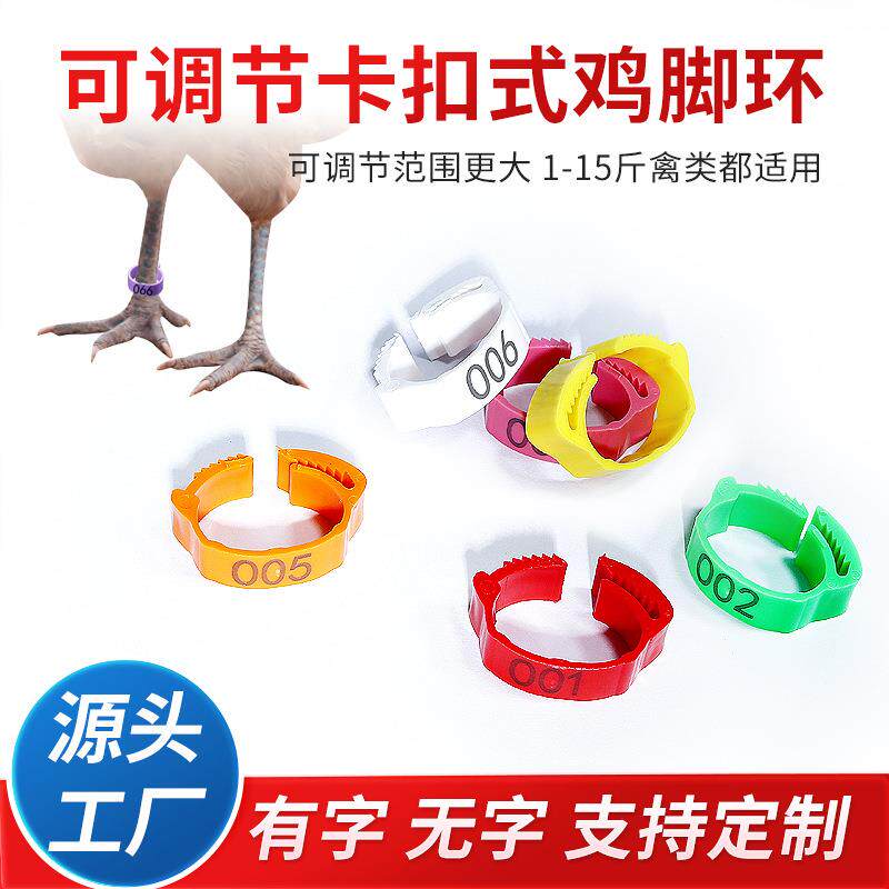 鸡脚环可调节鸡脚环鸡鸭鹅家禽标签大小调节脚圈记号识别环塑料圈