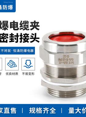 防爆格兰接头BDM-II电缆夹紧密封接头外螺纹质优