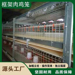热镀锌框架肉鸡笼结实耐用组装简便易清洁中小农场散养/规模