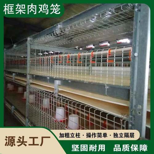 热镀锌框架肉鸡笼结实耐用组装简便易清洁中小农场散养/规模