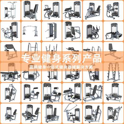 健身房力量系列平卧举架上斜举架平凳牧师椅罗马椅器械多功能