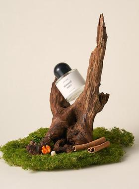 天然沉木造景 枯木拍照道具树枝木头装饰ins静物摄影陈列摆件干