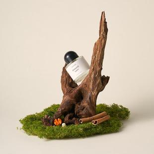 天然沉木造景 枯木拍照道具树枝木头装饰ins静物摄影陈列摆件干