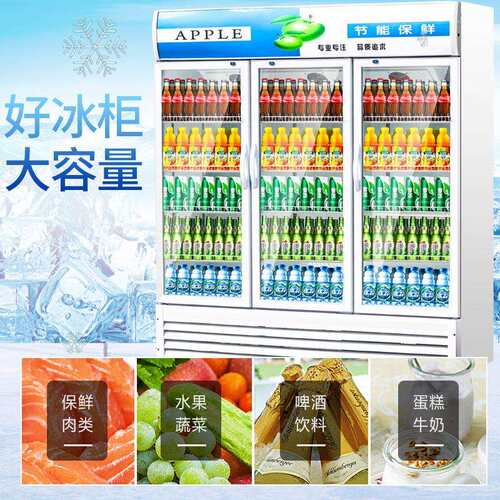 饮料柜商柜用立式冰冰单柜门超XYO市箱冷啤酒蔬菜水果保鲜冷藏展