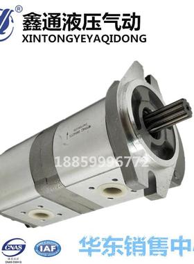 SUORUI齿轮油泵 WP09A2 0864273 双联泵