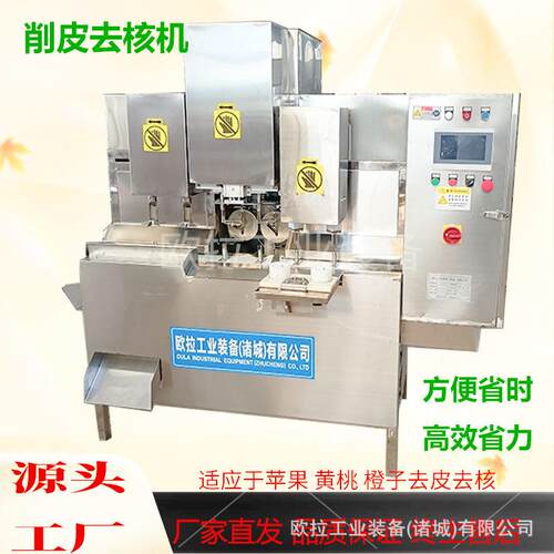 商用全自动去核加工生产线 雪梨工业削皮去核机 水果去核设备