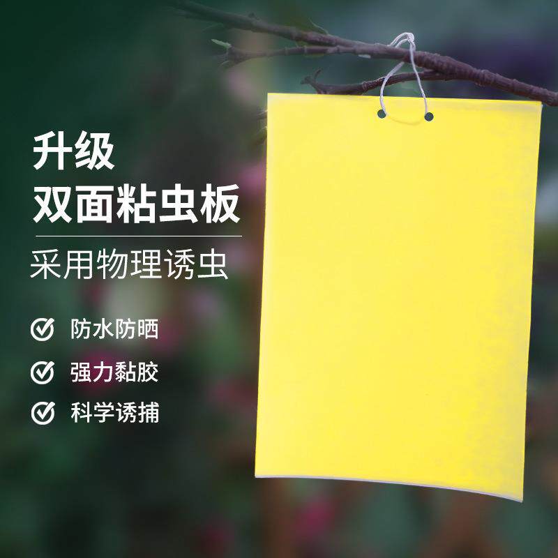 果园大棚黏虫双面粘虫板带铁丝悬挂灭小飞虫黄板粘果蝇诱针蜂蚊子