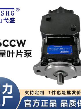 叶片液压泵T6CCW-020 028 031-003 005 006 008 010-2R00 01-C100