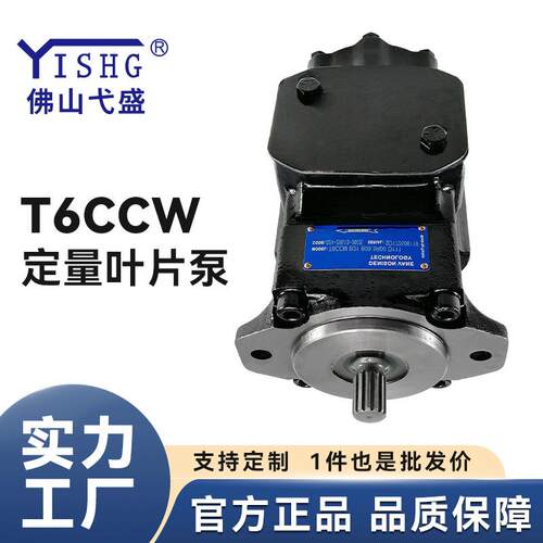 叶片液压泵T6CCW-020 028 031-003 005 006 008 010-2R00 01-C100