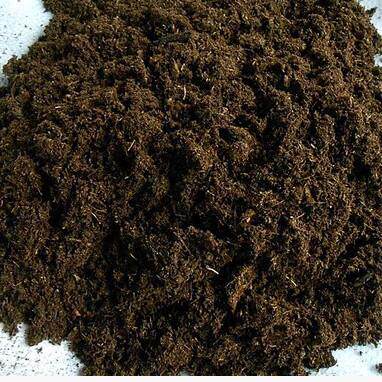 散装泥炭土422，多肉土，全植物通用土10公斤