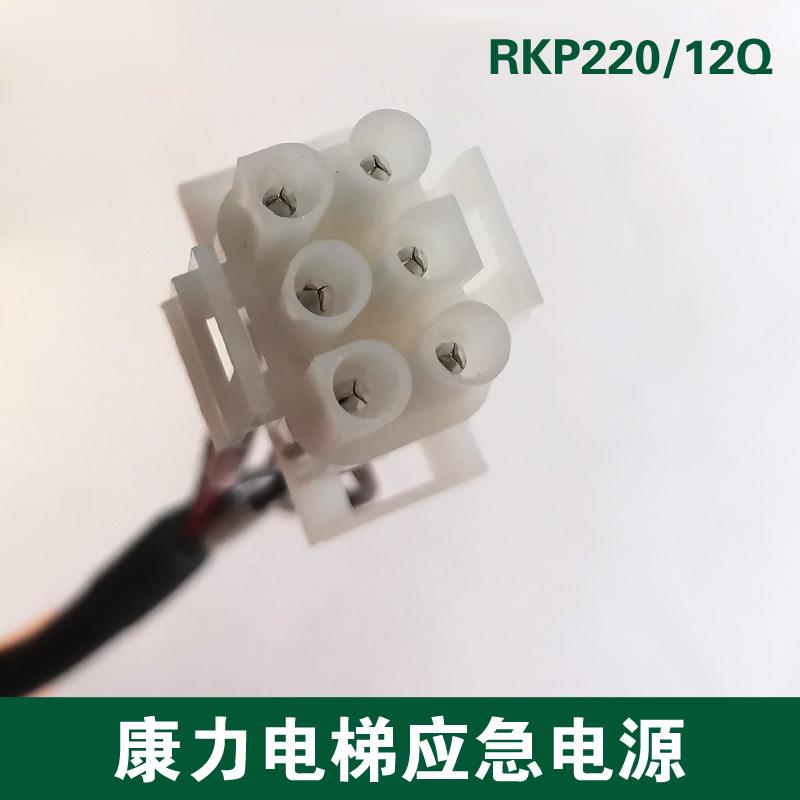 康力电梯应急电源 照明灯电源 电池轿顶 RKP220/12Q 应急灯对讲机