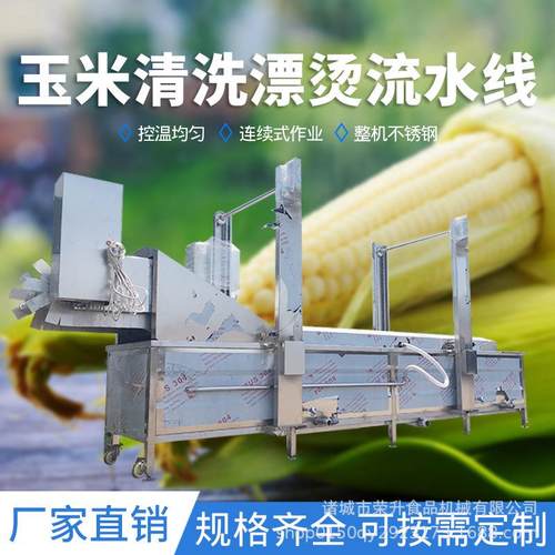 鲜食玉米生产线甜糯玉米加工设备竹笋藕片玉米漂烫蒸煮机流水线