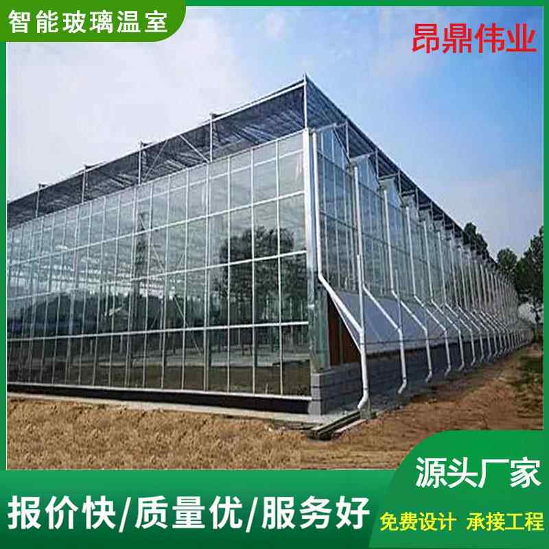 温室大棚种植农业钢管骨架草莓智能玻璃PCPC温室农用定制大棚