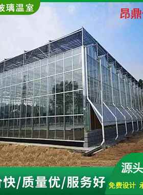 温室大棚种植农业钢管骨架草莓智能玻璃PCPC温室农用定制大棚