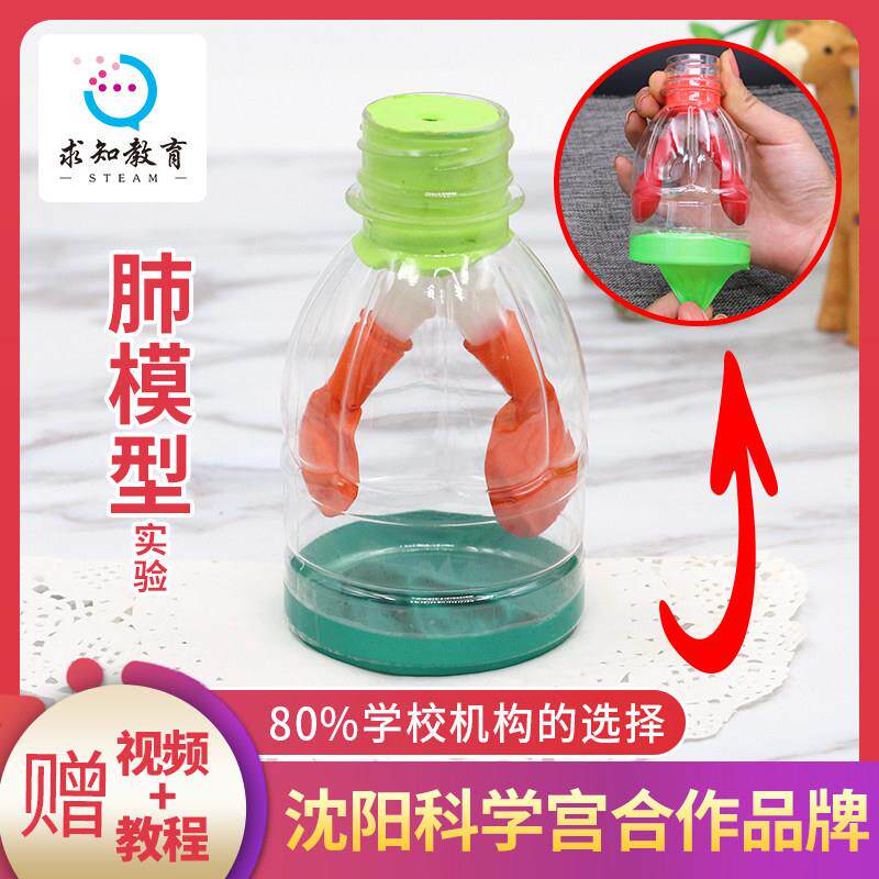 肺模型科学实验套装幼儿园小学生肺呼吸运动教学模型玩具制作材料