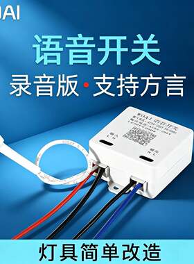 语音智能开关控制器 方言版声控灯模块 YY-LY型录音控制