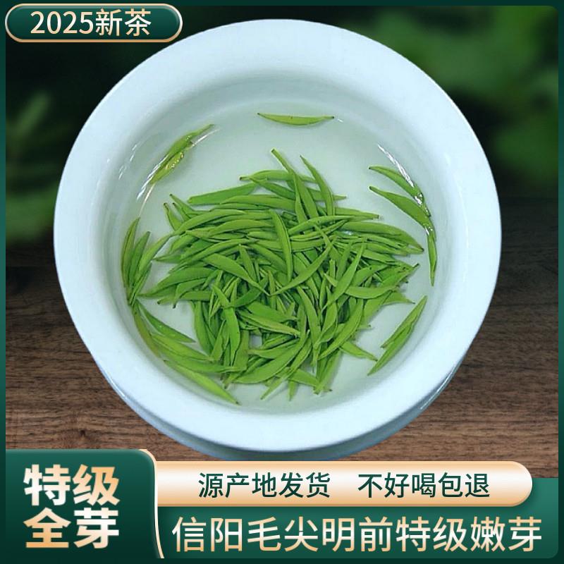 正宗信阳毛尖2025新茶明前头采特级嫩芽高山头采全芽头手工茶绿茶