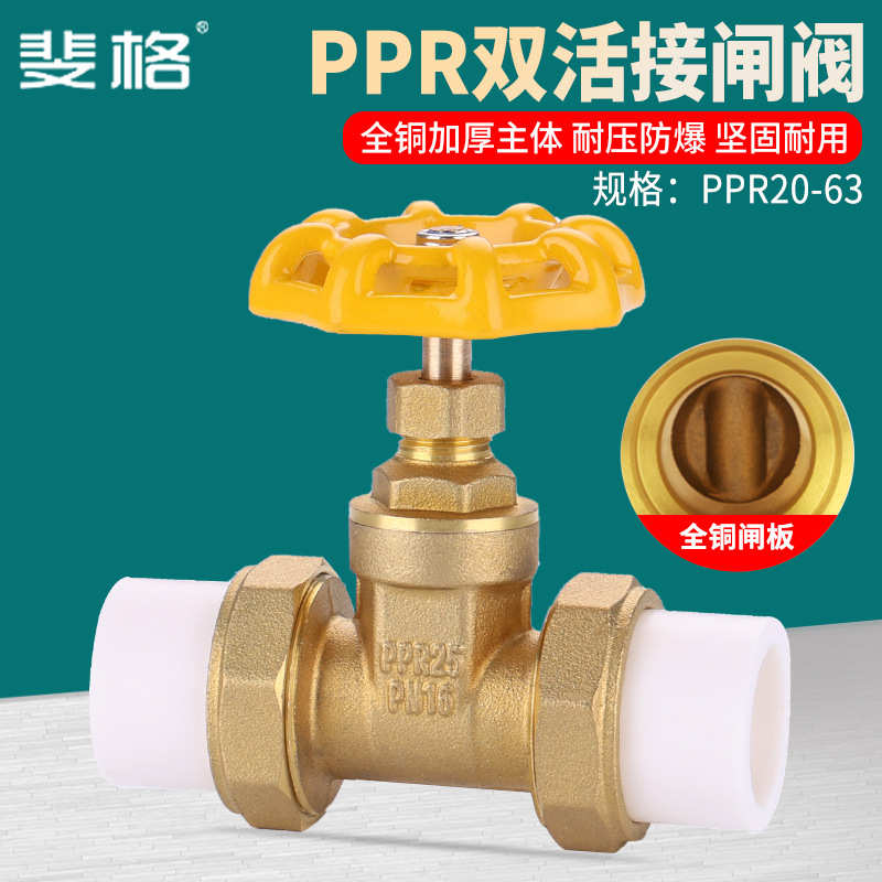 全铜20PPR管阀门自来水管开关4/6分闸阀25ppr双活接热熔32止水阀