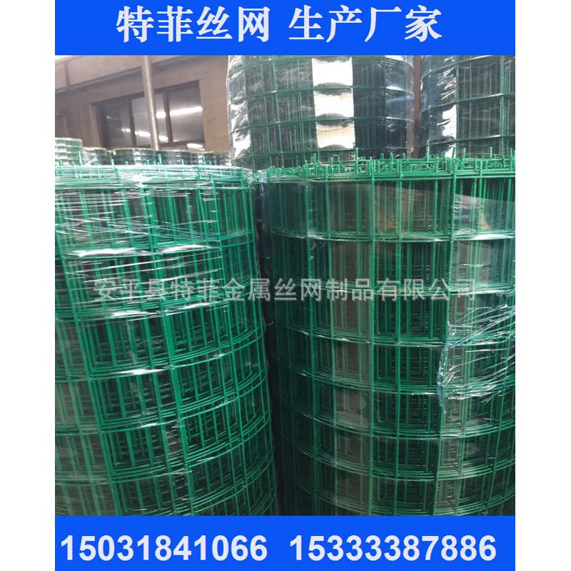 现货绿色包塑荷兰网 养殖网 果园围栏网 场地护栏网 鸡鸭养殖网