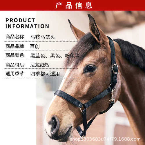 马术通用马笼头防马尼龙线磨调节多孔用品头绳