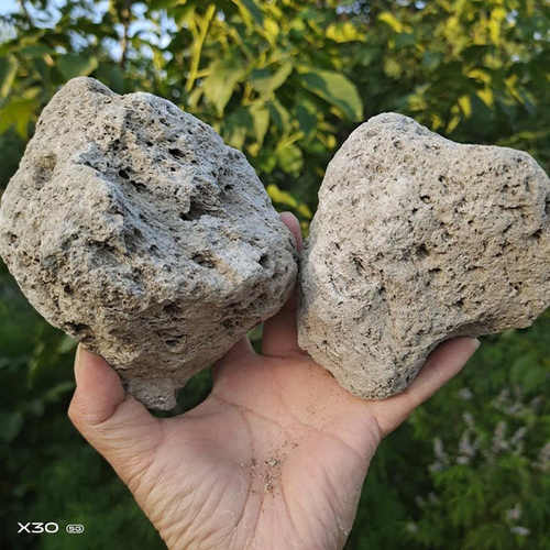 浮石轻石颗粒兰花多肉种植土兰花植料垫底介质园艺用品造景轻石