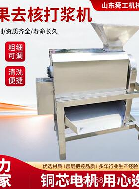 红枣山楂肉核分离打浆机商用芒果双道打浆机大型水果去核打浆机